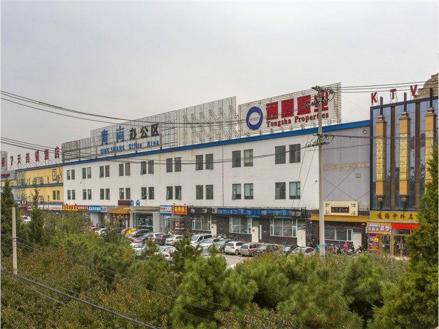 山东海绵采样拭子全国发货